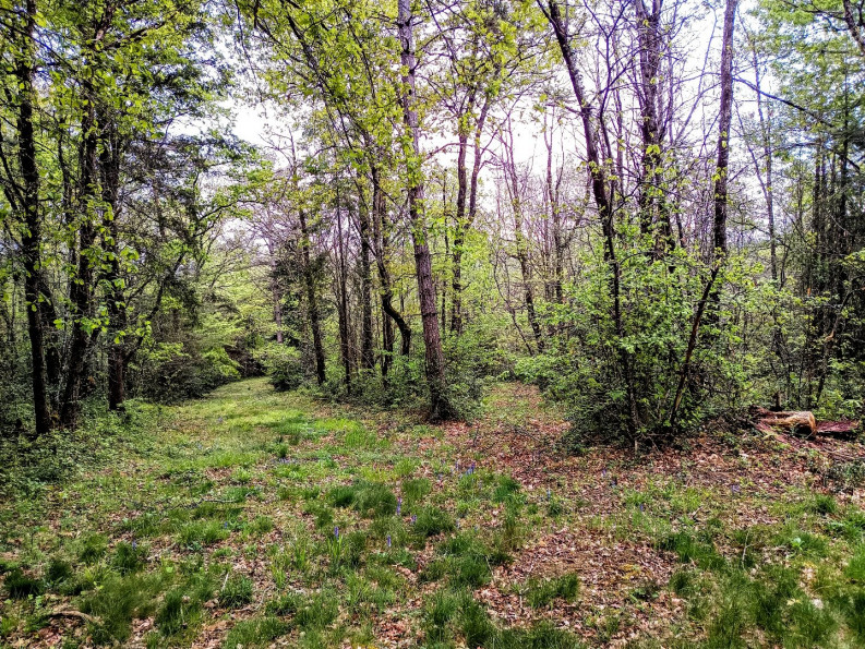 vente Maison et terrain Puycalvel - Photo 4