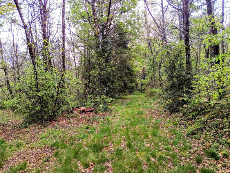 sale Maison et terrain Puycalvel - Photo 15