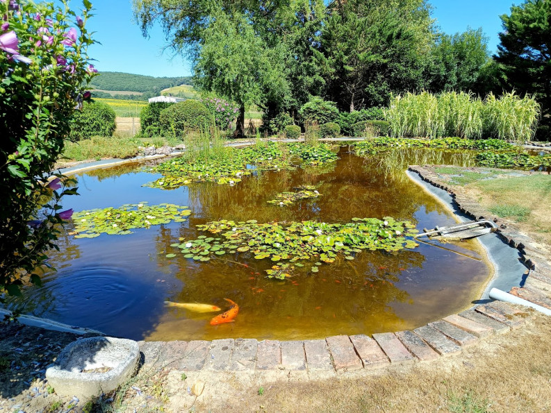 vente Maison et dépendances Puybegon - Photo 6