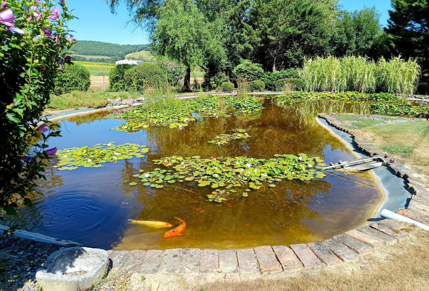vente Maison et dépendances Puybegon - Photo 6