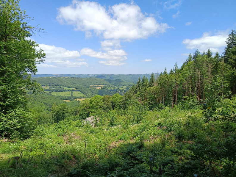 vente Maison et terrain Berlats - Photo 9