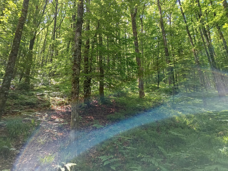 vente Maison et terrain Berlats - Photo 10