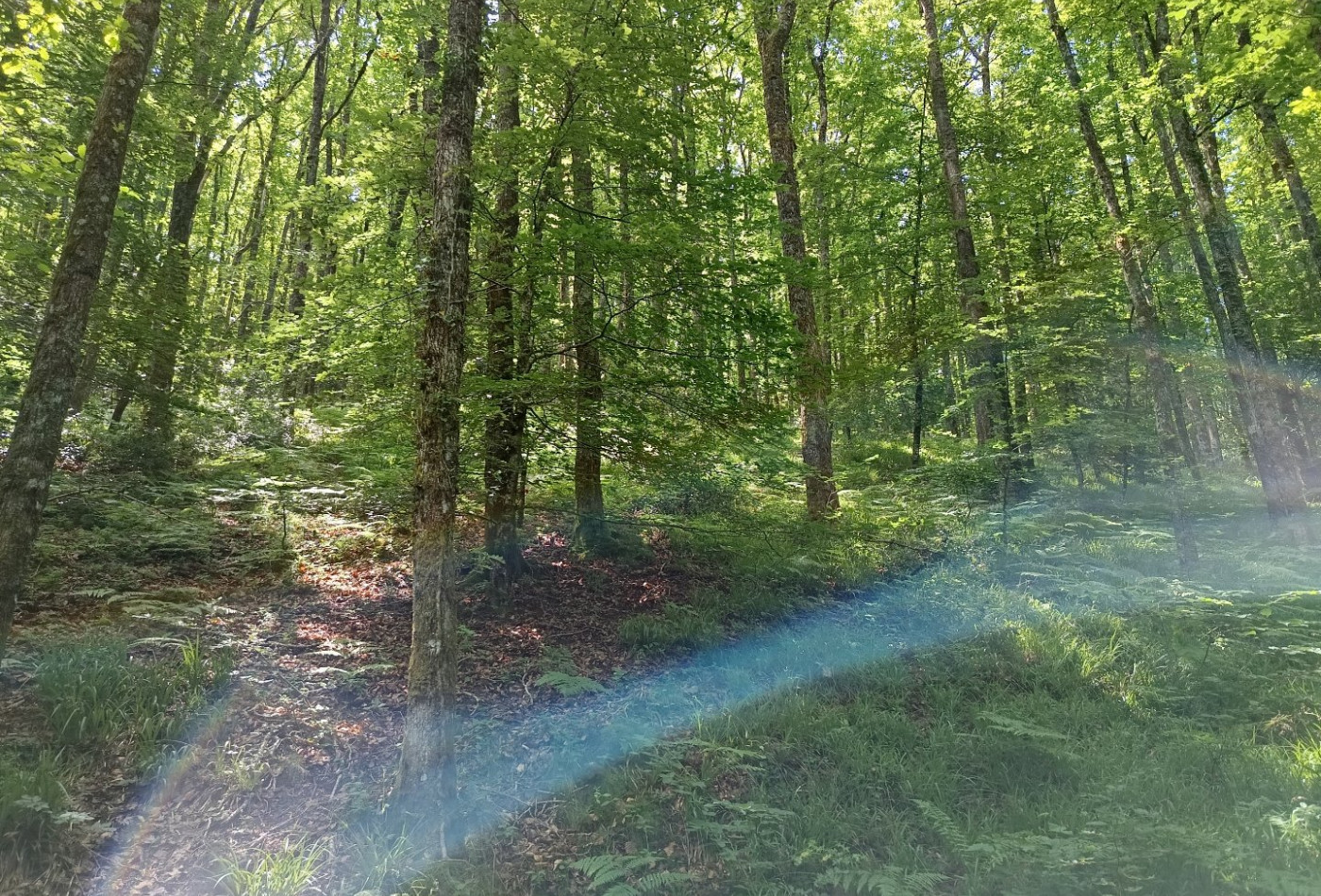 vente Maison et terrain Berlats - Photo 10