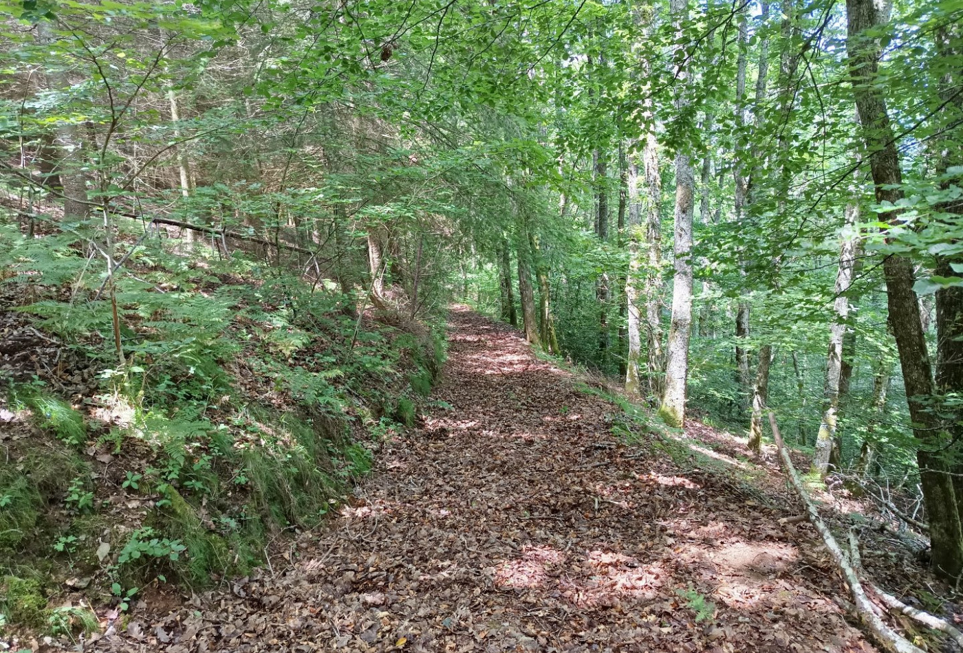 vente Maison et terrain Berlats - Photo 8