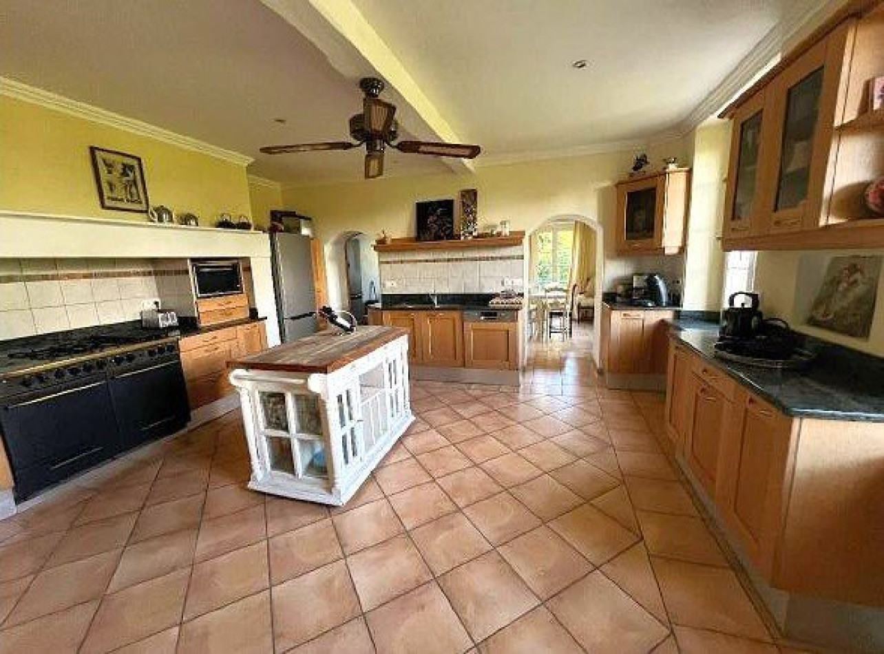 vente Château Lisle-sur-tarn - Photo 10