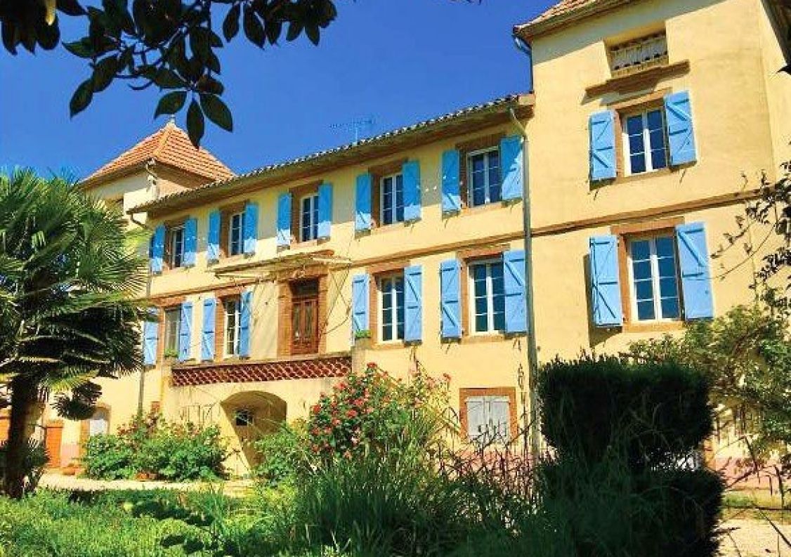 vente Château Lisle-sur-tarn