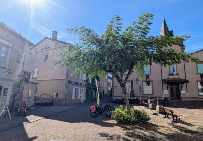 vente Maison Monesties