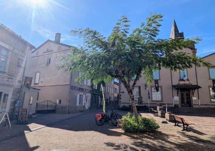 vente Maison Monesties