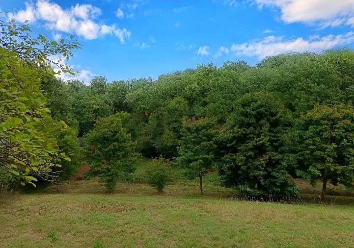 vente Terrain agricole Carmaux