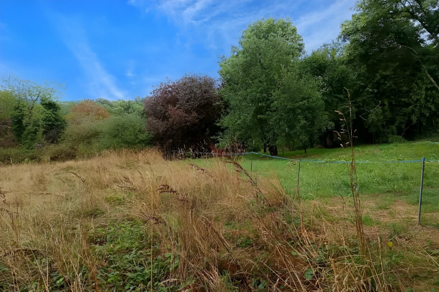 vente Terrain agricole Carmaux - Photo 8