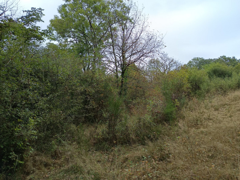 vente Terrain agricole Carmaux - Photo 5