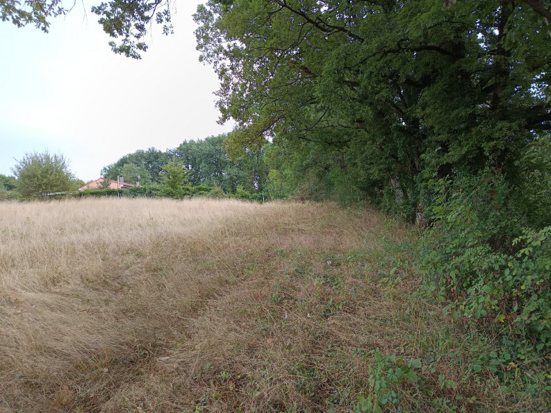 vente Terrain agricole Carmaux - Photo 7
