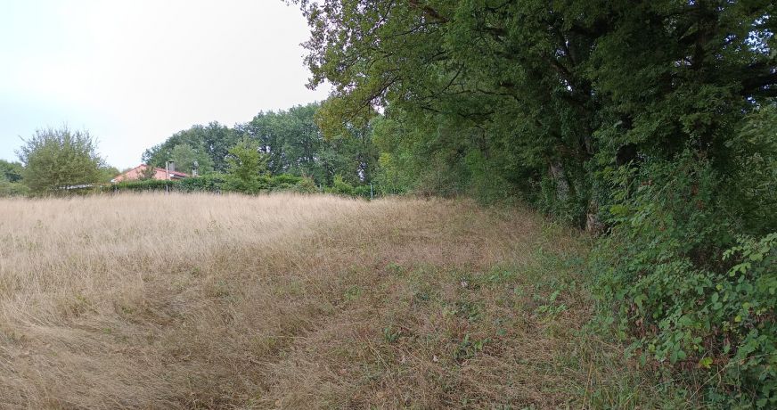 vente Terrain agricole Carmaux