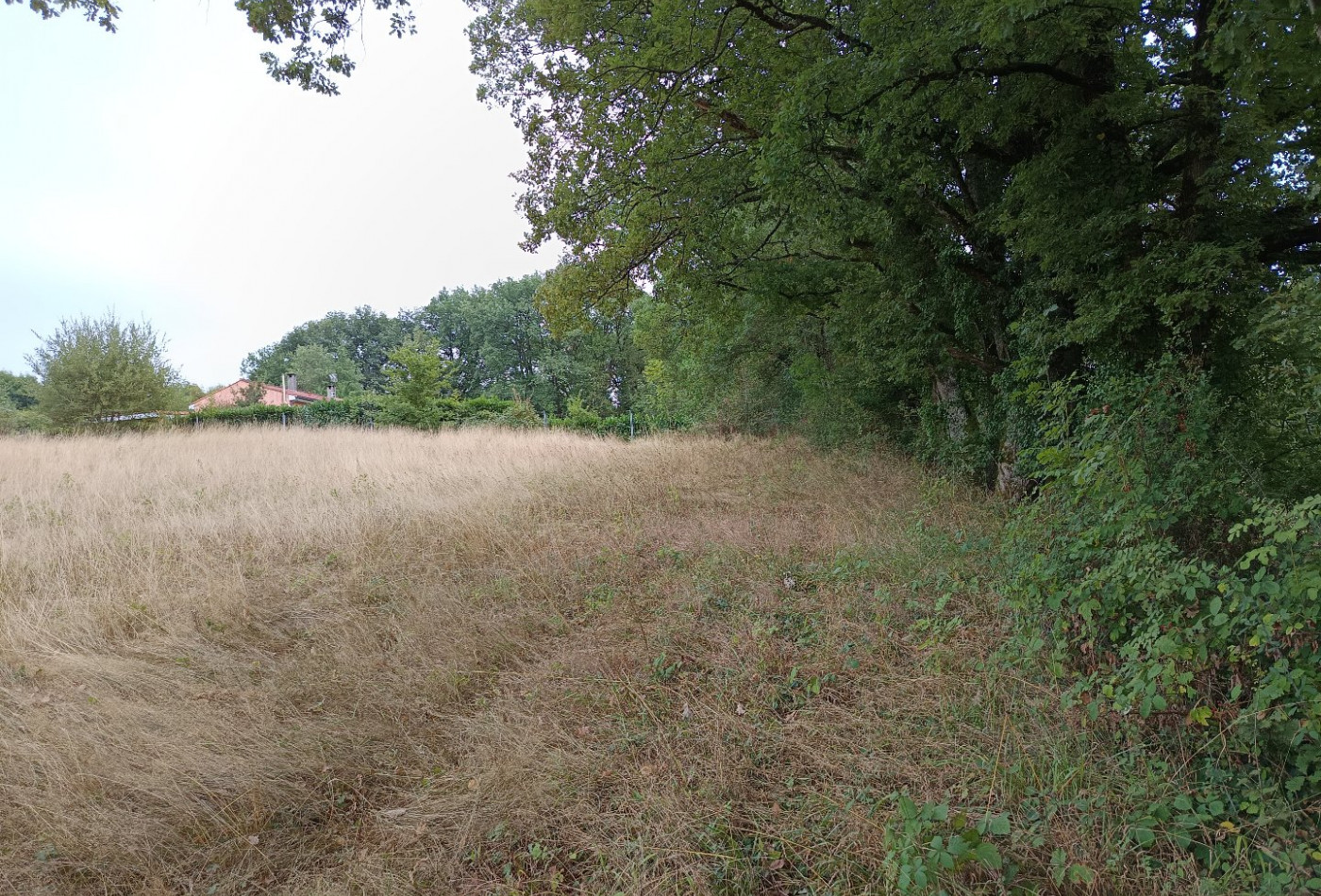 vente Terrain agricole Carmaux - Photo 8