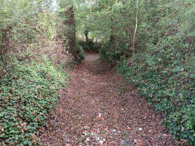 vente Terrain agricole Carmaux - Photo 13