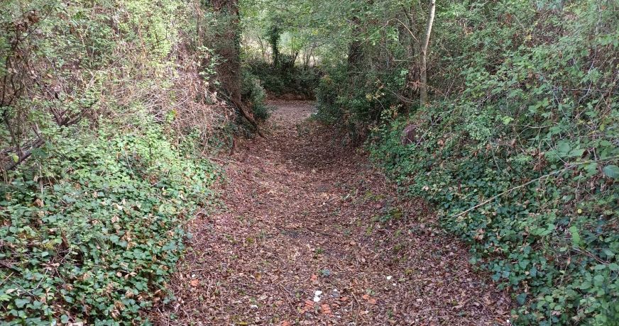 vente Terrain agricole Carmaux