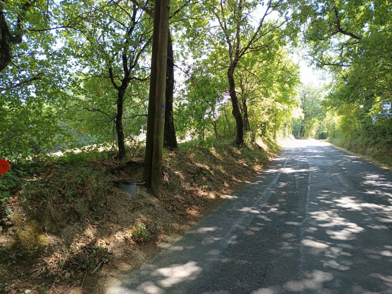 vente Terrain constructible Saix - Photo 3