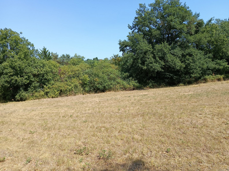 vente Terrain constructible Saix - Photo 1