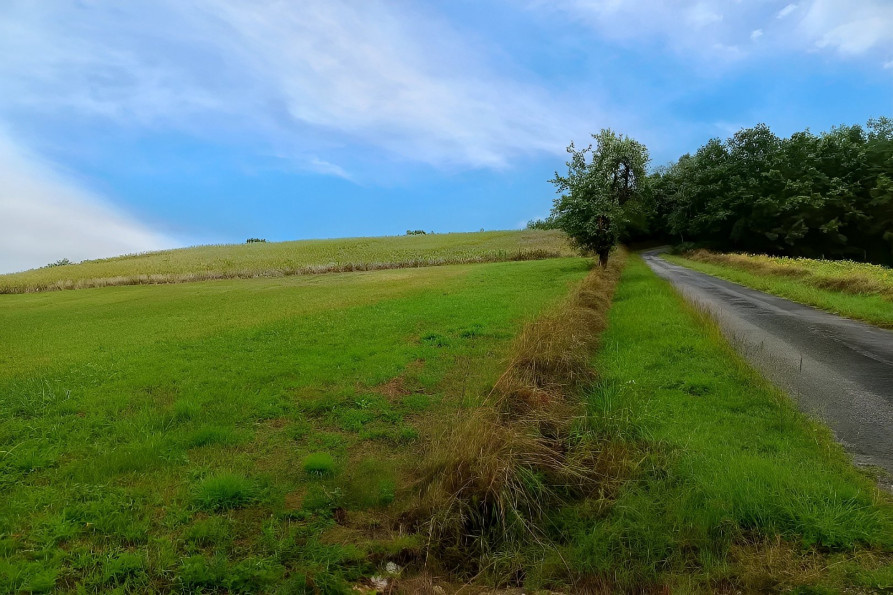 vente Terrain constructible La Sauziere Saint Jean - Photo 2