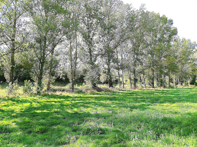 vente Propriété Mirandol Bourgnounac - Photo 15