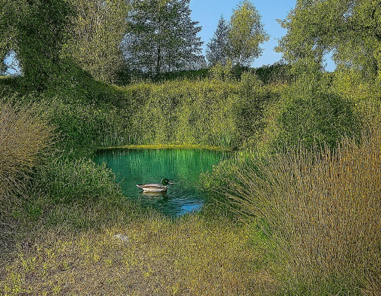 vente Propriété Mirandol Bourgnounac - Photo 16