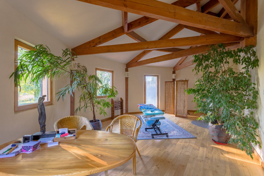 vente Local commercial Castelnau De Levis - Photo 10