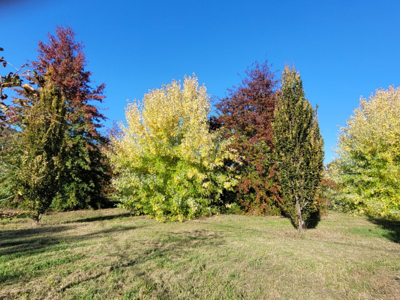 vente Local commercial Castelnau De Levis - Photo 18