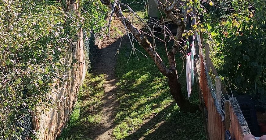 vente Maison Graulhet