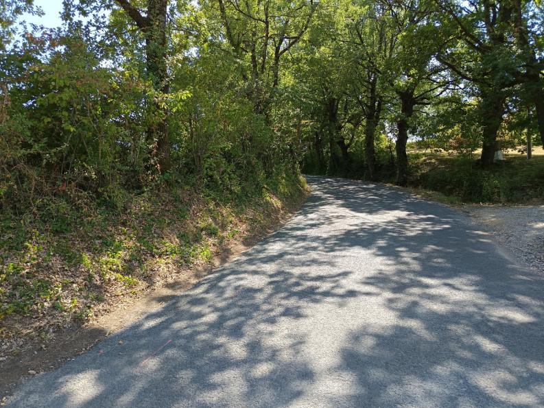 vente Terrain constructible Saix - Photo 3