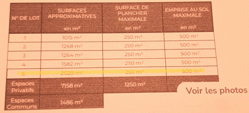 vente Terrain constructible Saix - Photo 5