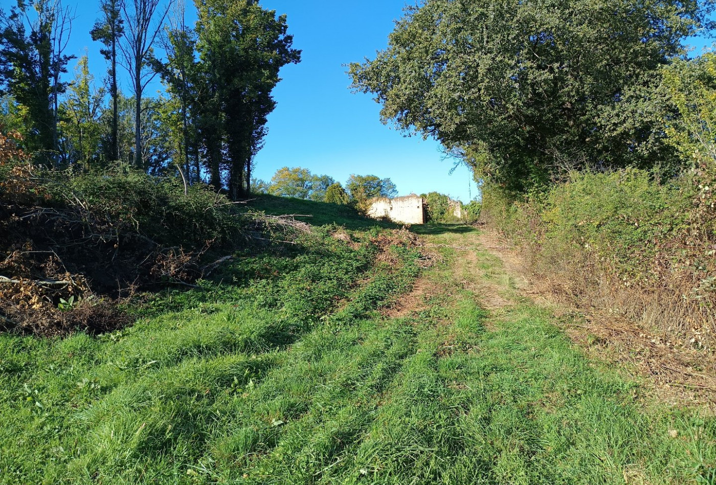 vente Terrain agricole Montdurausse - Photo 8