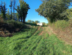 vente Terrain agricole Montdurausse