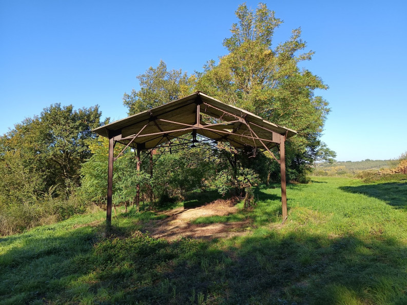 vente Terrain agricole Montdurausse - Photo 7
