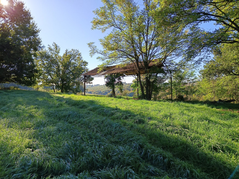 vente Terrain agricole Montdurausse - Photo 6