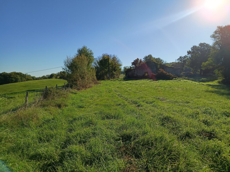 vente Terrain agricole Montdurausse - Photo 4