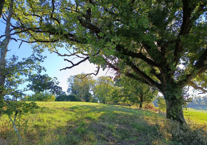 vente Terrain agricole Montdurausse