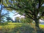 vente Terrain agricole Montdurausse