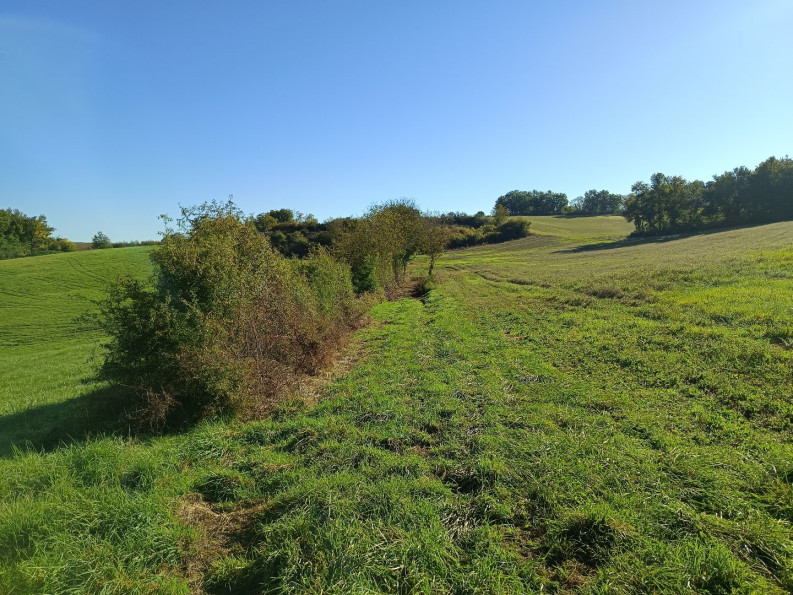 vente Terrain agricole Montdurausse - Photo 9