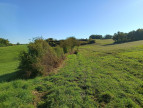 vente Terrain agricole Montdurausse