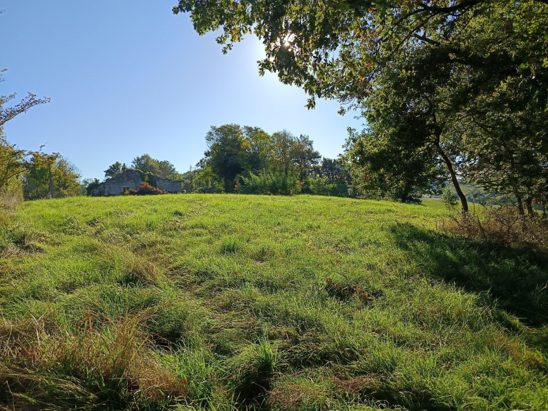 vente Terrain agricole Montdurausse - Photo 3