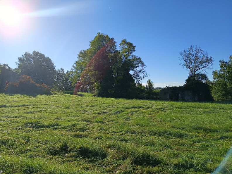 vente Terrain agricole Montdurausse - Photo 2