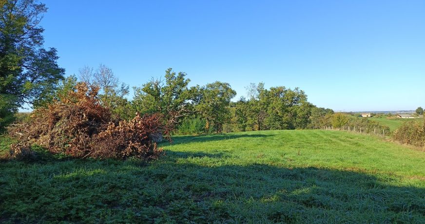 vente Terrain agricole Montdurausse
