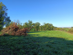 vente Terrain agricole Montdurausse