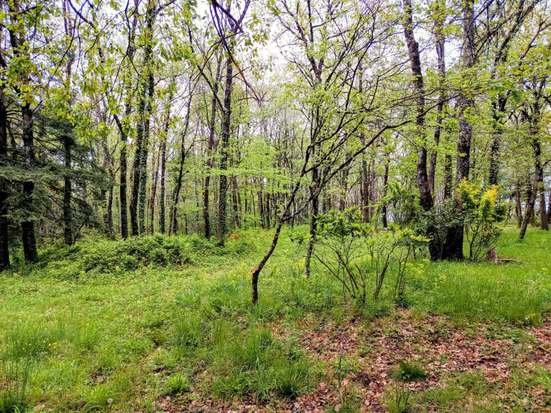 vente Maison et terrain Puycalvel - Photo 19