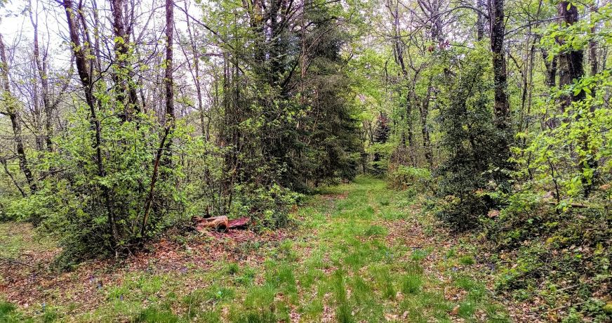 vente Maison et terrain Puycalvel