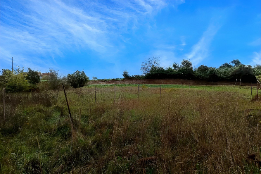 vente Terrain Lescure D'albigeois - Photo 4