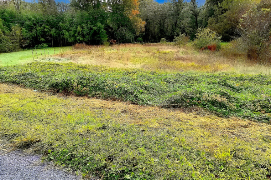 vente Terrain Lescure D'albigeois - Photo 5