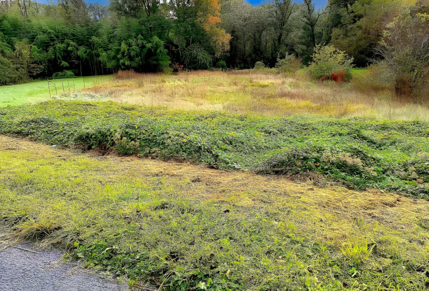 vente Terrain Lescure D'albigeois - Photo 5