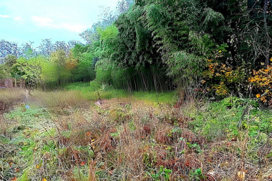 vente Terrain Lescure D'albigeois - Photo 6