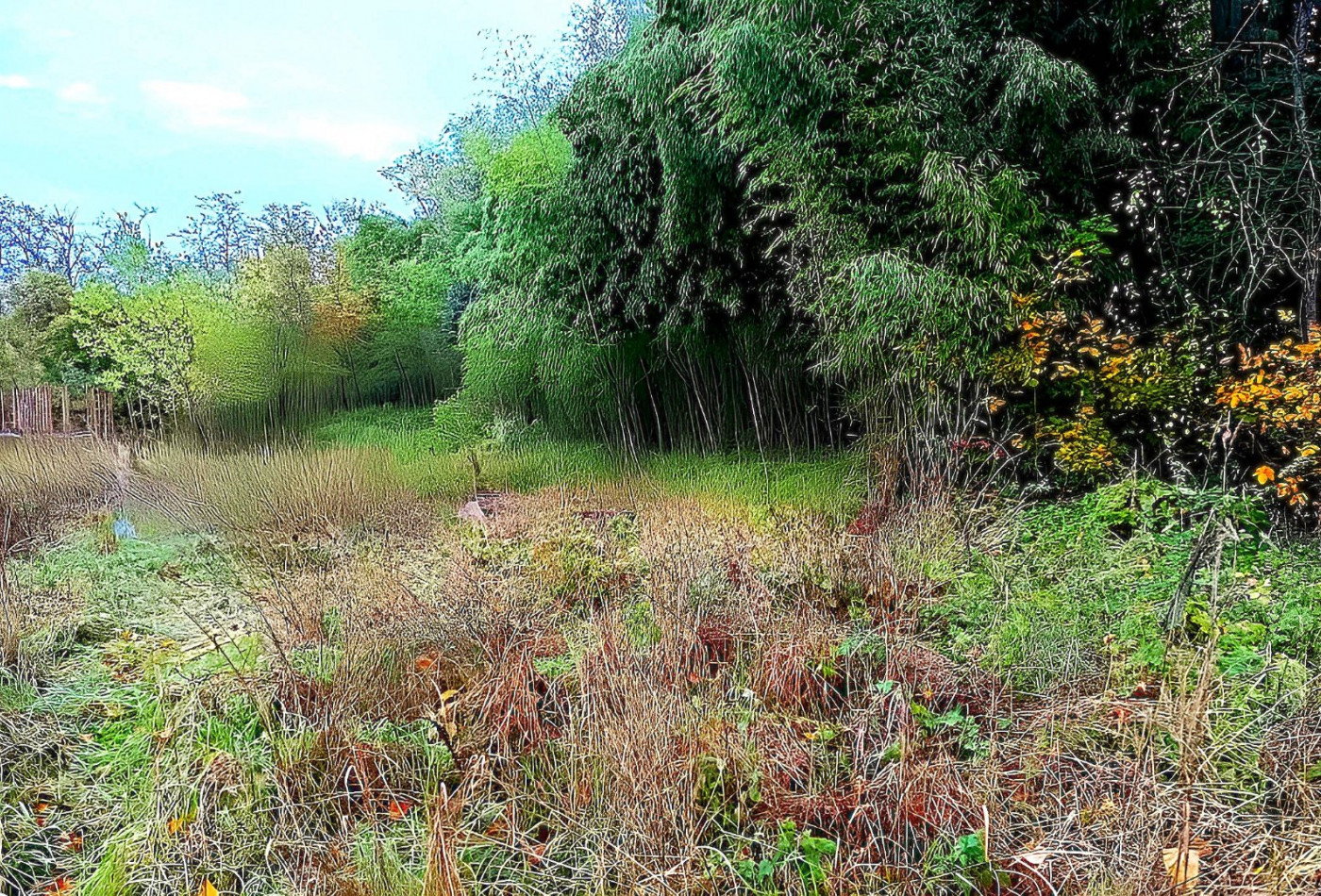 vente Terrain Lescure D'albigeois - Photo 6